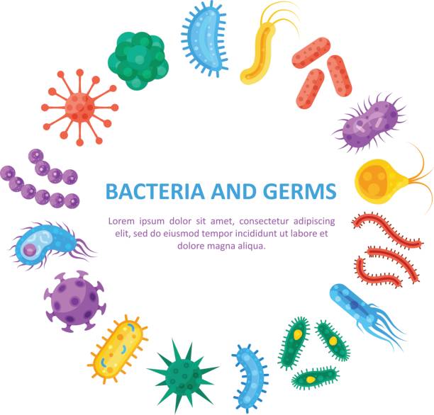 illustrazioni stock, clip art, cartoni animati e icone di tendenza di set rotondo di batteri e germi - bacterium