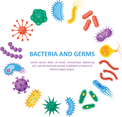 Bacteria and germs round set, copyspace in the middle. Disease-causing types of viruses, fungi, protozoa, group of micro-organisms. Vector flat style cartoon illustration isolated on white background