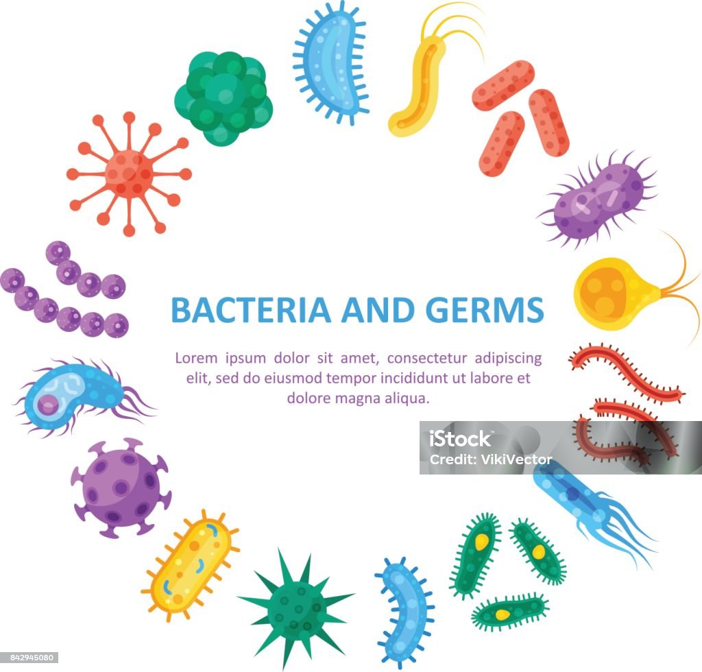Bacteria and germs round set Bacteria and germs round set, copyspace in the middle. Disease-causing types of viruses, fungi, protozoa, group of micro-organisms. Vector flat style cartoon illustration isolated on white background Bacterium stock vector