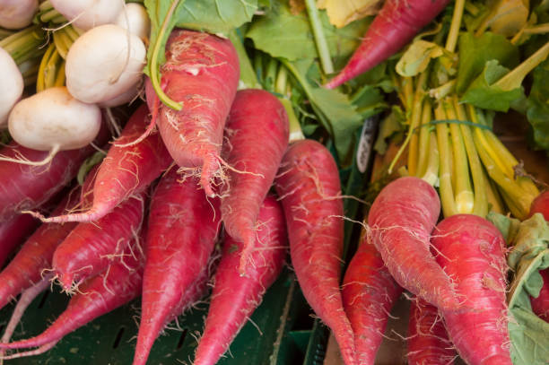istock pink radish at the market 842948340