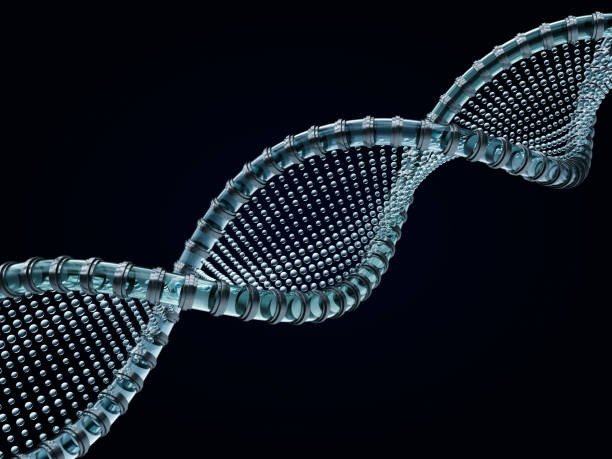 istock Close up of a diagonal DNA chain against a black background. 3D rendering 842949976