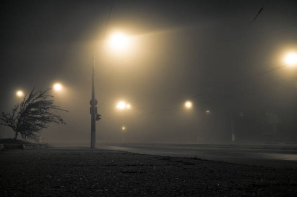 istock Foggy street lights misty with night deserted road 842953668