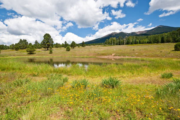istock Alfa Fia Tank and the San Francisco Peaks 842956596