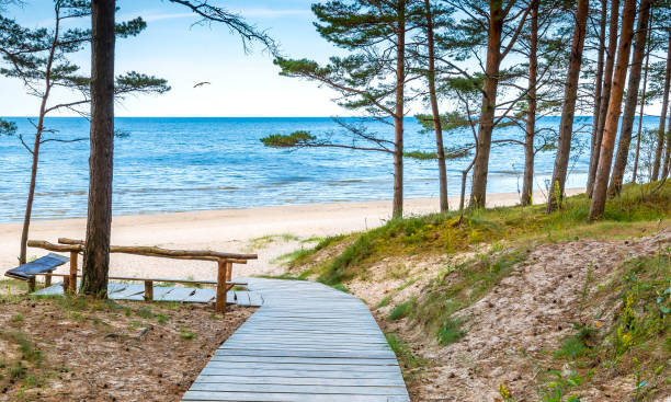 istock Coastal landscape at the Baltic Sea 842957044