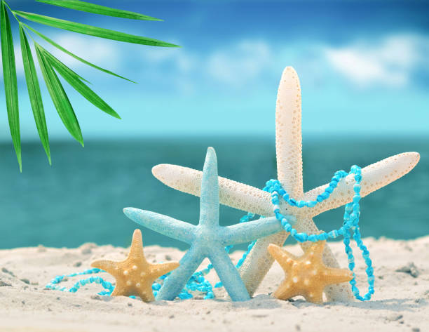 istock starfish on the summer beach with sand 842959760