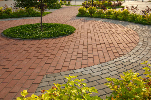 istock paved with tiles path in the Park 842961776
