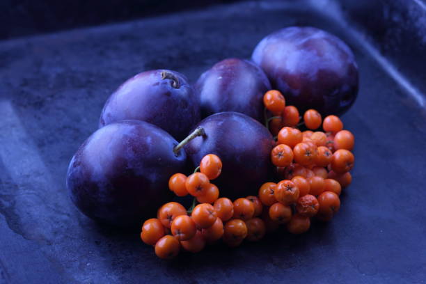 istock Blue plum and ashberry on a dark background for the designer 842975350