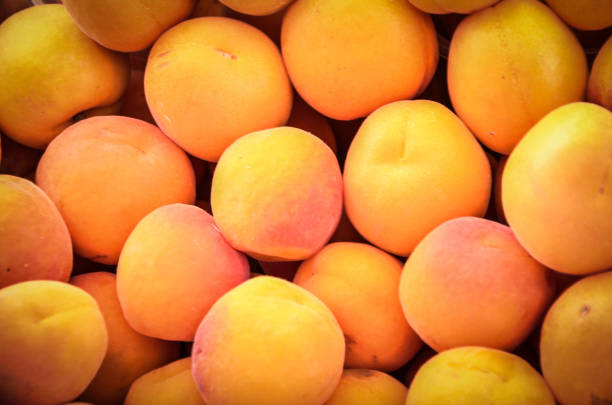 istock fresh fruits & vegetables close up 842976292
