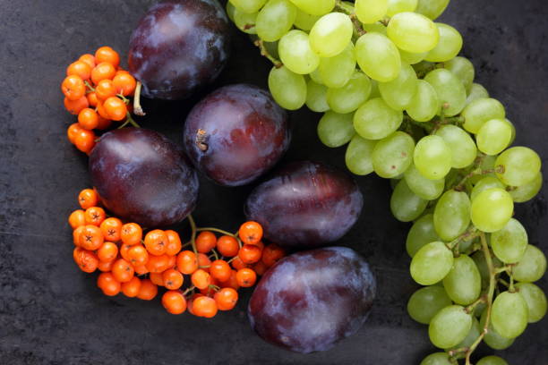 istock Plums, grapes and ashberry on a dark background in retro style for designer 842976856