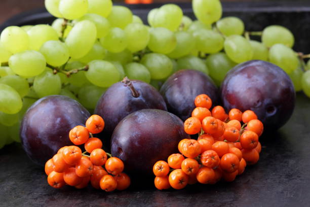istock Plums, grapes and ashberry on a dark background in retro style for designer 842977036