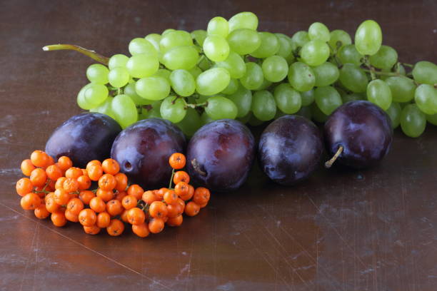 istock Plums, grapes and ashberry on a dark background in retro style for designer 842977150