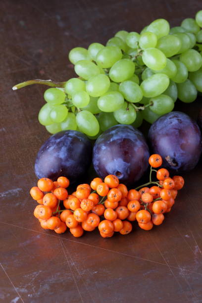 istock Plums, grapes and ashberry on a dark background in retro style for designer 842977226