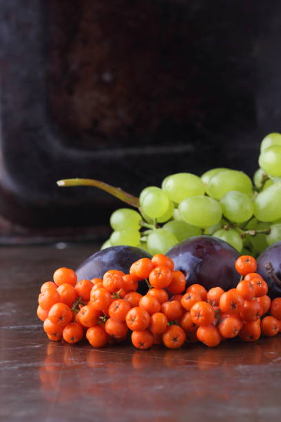 istock Plums, grapes and ashberry on a dark background in retro style for designer 842977260
