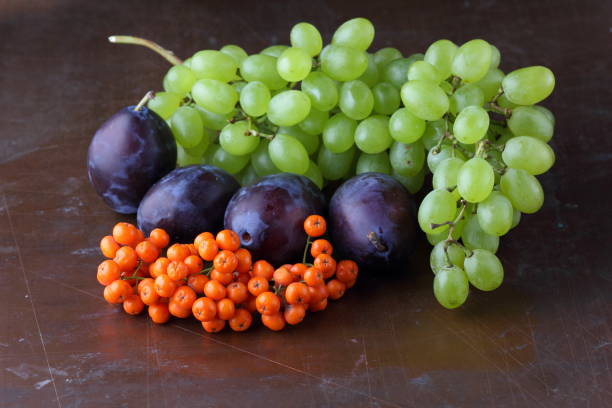 istock Plums, grapes and ashberry on a dark background in retro style for designer 842977604