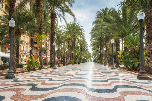 Paseo de la Explanada - el turista principal calle en Alicante, España photo