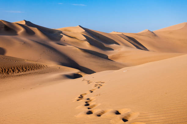 istock Huacachina desert dunes 842986852