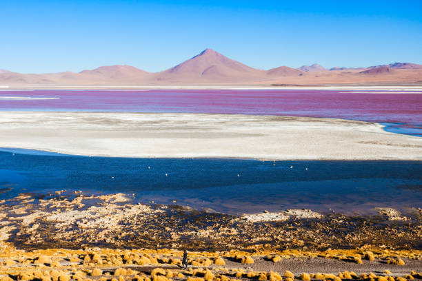 istock Laguna Colorada lake 842986970