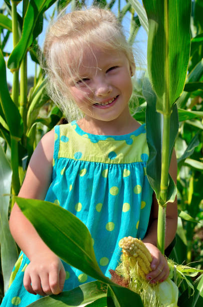istock A small, cheerful girl among high, green corn 842987752