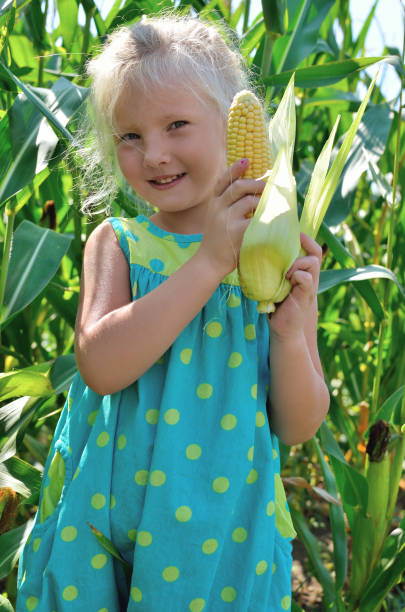 istock A small, cheerful girl among high, green corn 842987810