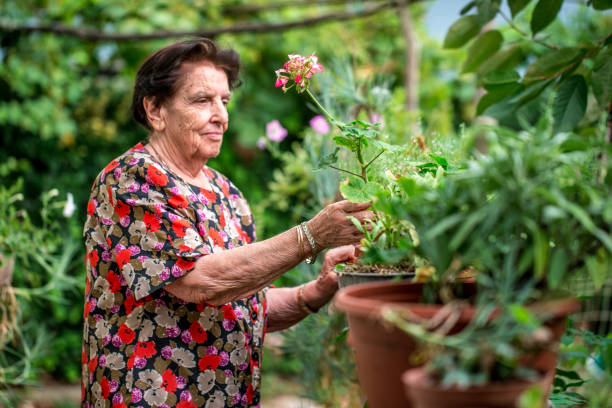 istock Senior Woman Taking Care for Flowers 842988736