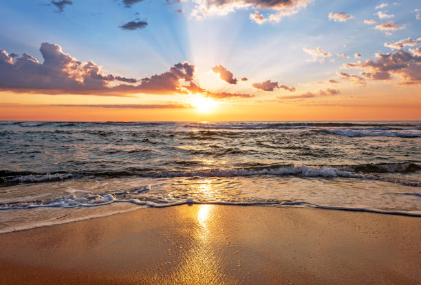 istock Beautiful tropical sunrise on the beach. 842996838