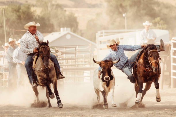 istock Cowboy Lifestyle in Utah 843001674