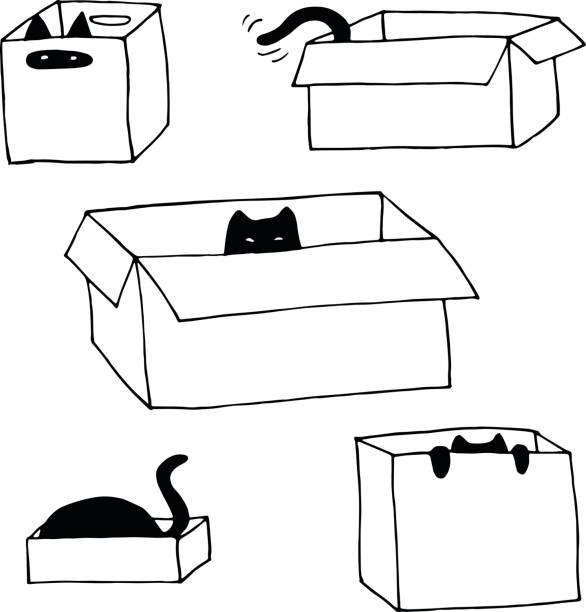 상자-벡터 손으로 그린 그림 세트에에서 귀여운 고양이 - cat box stock illustrations