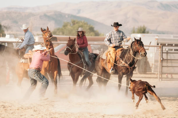 istock Cowboy Lifestyle in Utah 843002352