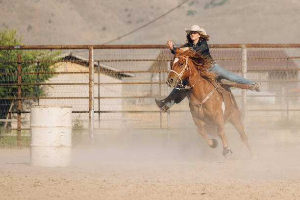 istock Cowboy Lifestyle in Utah 843002382