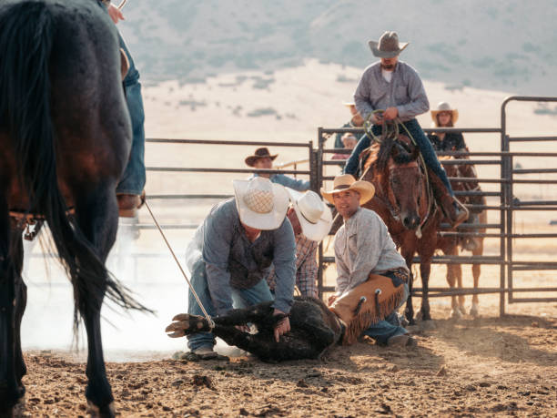 istock Cowboy Lifestyle in Utah 843002396