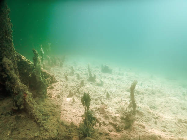 istock Underwater pillars of a pier. Underwater scene. 843005084