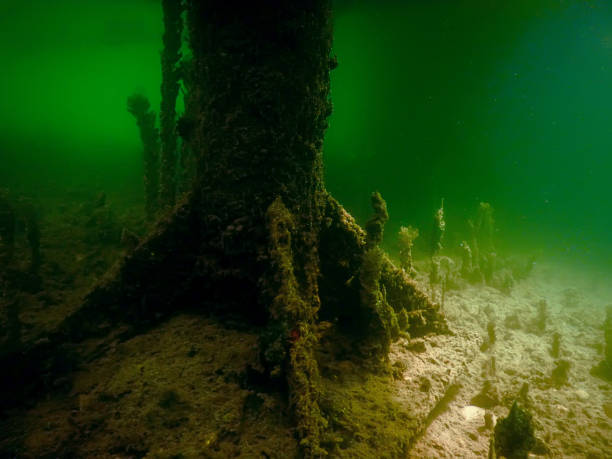 istock Underwater pillars of a pier. Underwater scene. 843005528