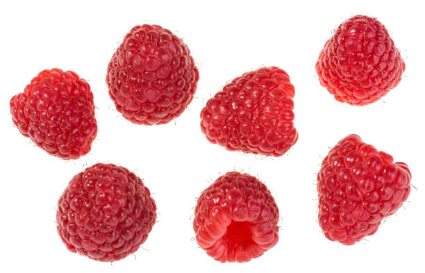 istock Collection of individual forest raspberries isolated on white background 843008748