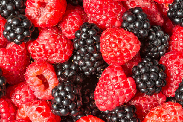 istock Decorative red and black texture from juicy forest fruits 843010562