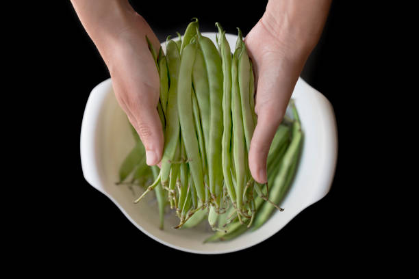 Woman Holding Green Beans Isolated On Black Background