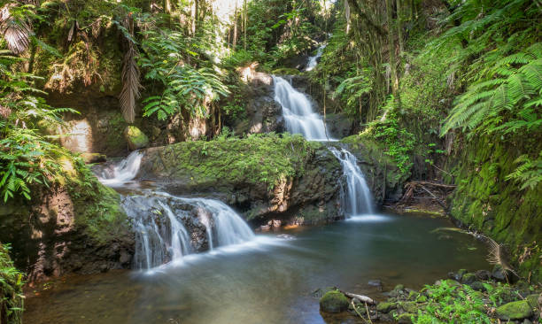 istock Waterfall in Hawaii Tropical Botanical Garden 843020350