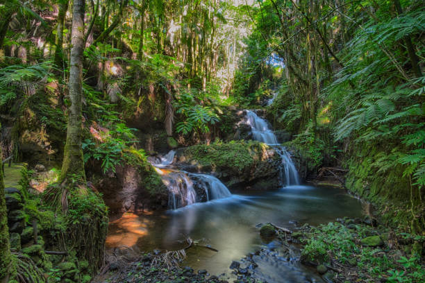 istock Waterfall in Hawaii Tropical Botanical Garden 843020454