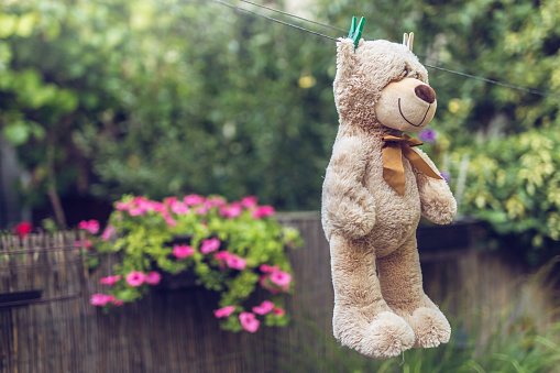 Photography of a brown teddy bear while drying on a clothesline
