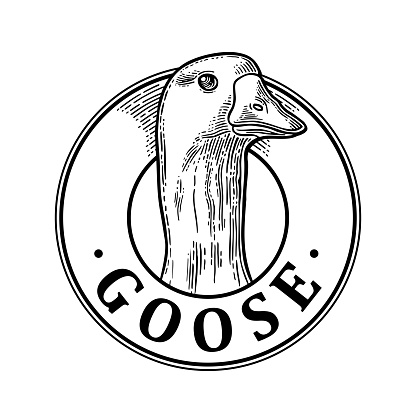 Goose head with lettering. Hand drawn in a graphic style. Vintage black vector engraving illustration for label, poster. Isolated on white background