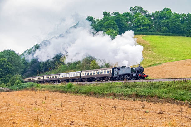 west somerset railway steam tour train in countryside - somerset west imagens e fotografias de stock