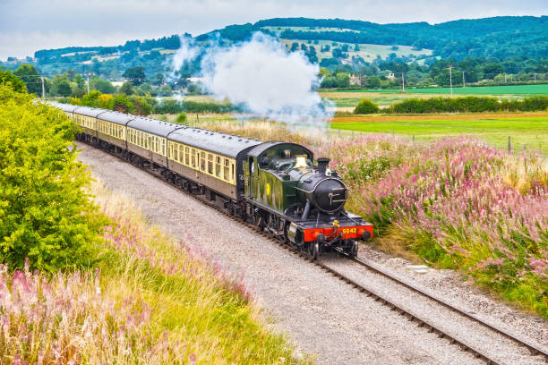 trem de gloucestershire warwickshire steam railway com flores silvestres - british rail - fotografias e filmes do acervo