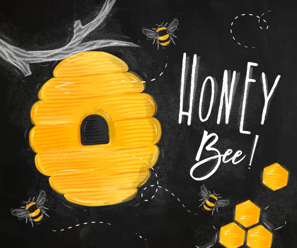 ilustrações de stock, clip art, desenhos animados e ícones de poster honey bee chalk - colmeia ilustrações