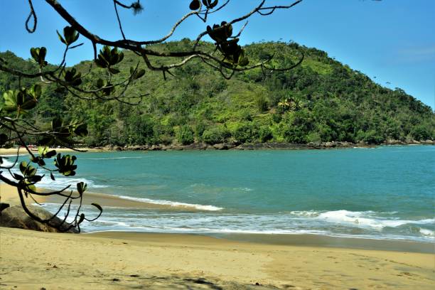 istock Relax on Bonete's Big Beach 843037654