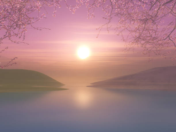 istock 3D sunset landscape with cherry tree against a sunset sky 843037948