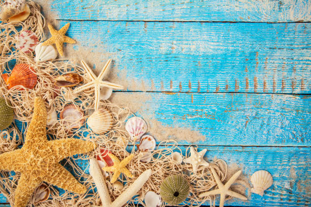 istock Summer traveling time. Sea holiday background with various shells 843040650