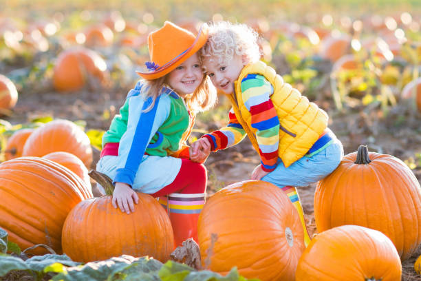 istock Kids picking pumpkins on Halloween pumpkin patch 843042160