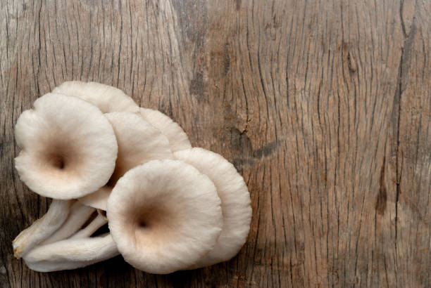 istock Oyster mushrooms on wooden table. 843044414