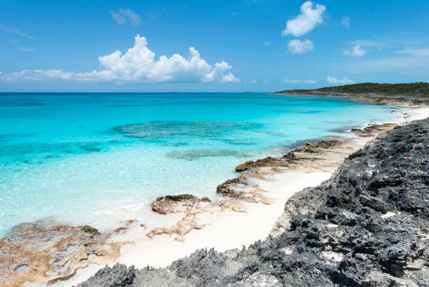 istock Caribbean Island Coastline 843045516