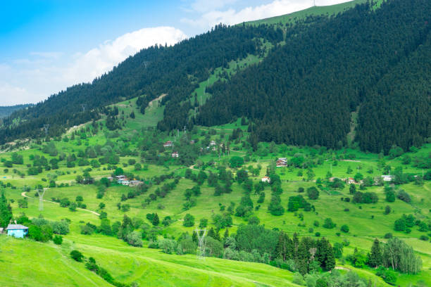 istock Summer Mountain Plateau Highland with Artvin, Turkey 843056440