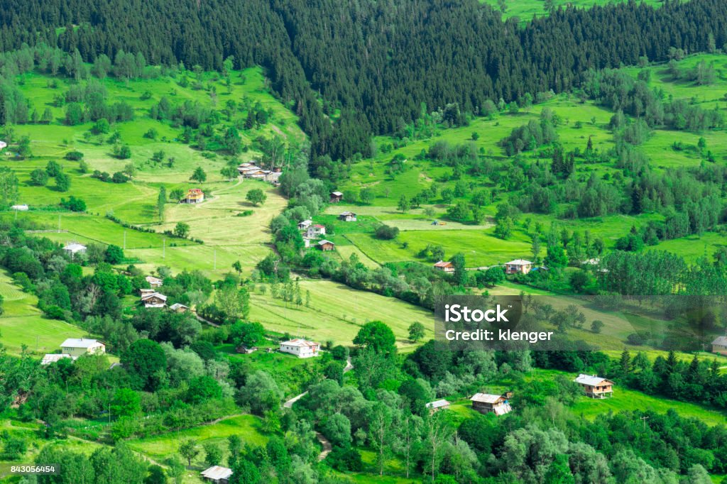 Summer Mountain Plateau Highland with Artvin, Turkey Agriculture Stock Photo